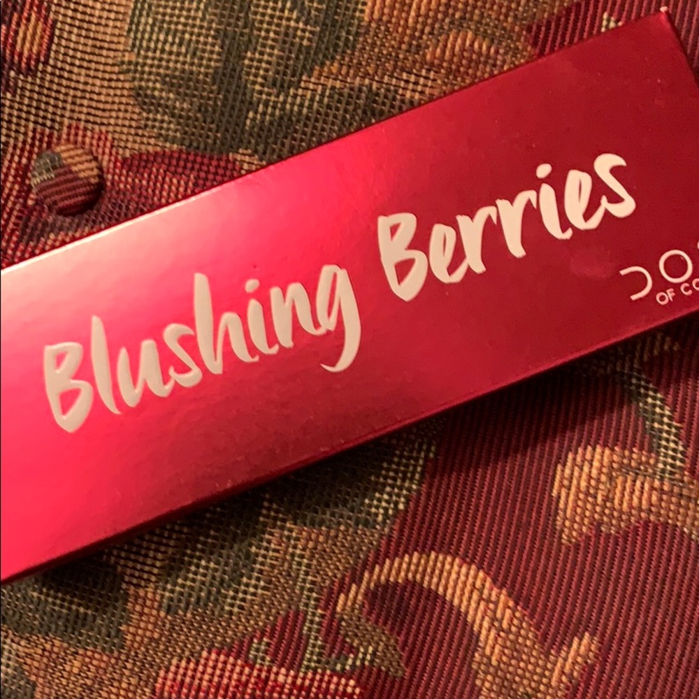 New in box dose of colors berries palette